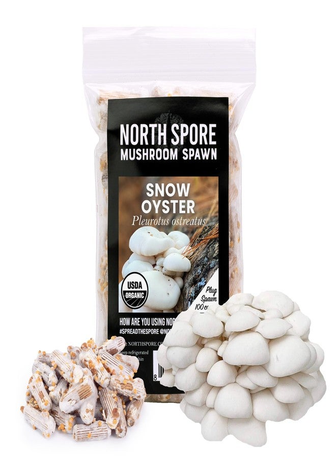 North Spore فطر المحار الثلجي العضوي من نورث سبور (100 حبة) - شتلات فطر عالية الجودة للزراعة على جذوع الأشجار | فطر عالي الجودة للزراعة على جذوع الأشجار | صناعة يدوية في ولاية مين الأمريكية | ازرع فطرًا فاخرًا في الهواء الطلق على جذوع الأشجار - Image 1